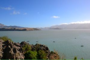 Lyttelton