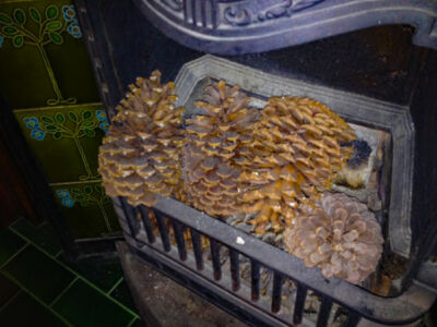 Das sind neuseeländische Igel - gell Christl