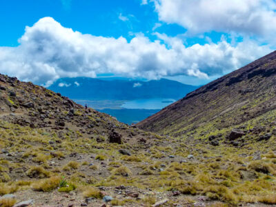 Blick auf Lake Rotoaira und im Hintergrund Lake Taupo